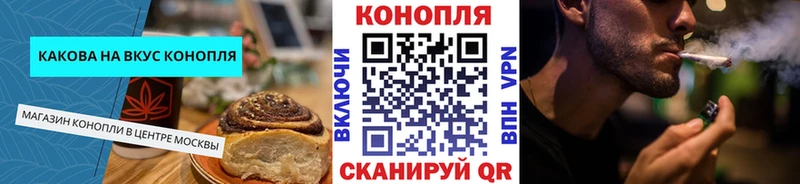 Купить где  Гай  Canna-Cookies конопля 
