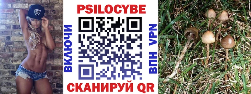 Купить  Гай  Галлюциногенные грибы мухоморы 