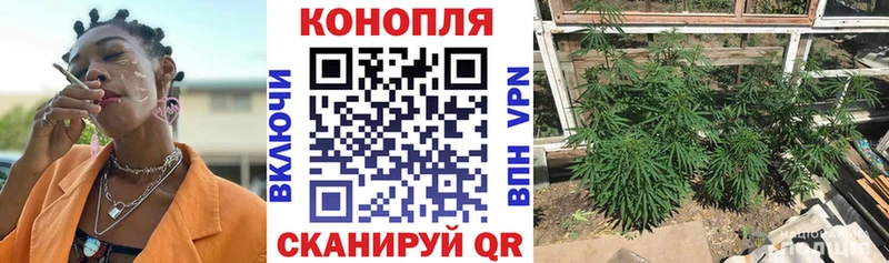 Купить закладки  Гай  МАРИХУАНА AK-47 